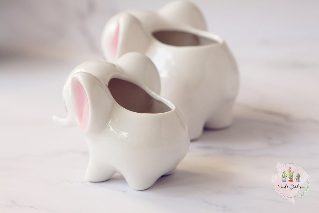Ceramic Elephant Plant Pot